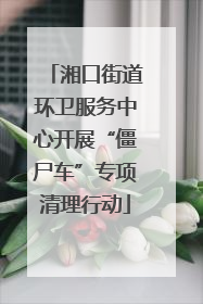 湘口街道环卫服务中心开展“僵尸车”专项清理行动