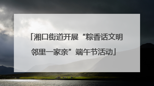 湘口街道开展“粽香话文明 邻里一家亲”端午节活动