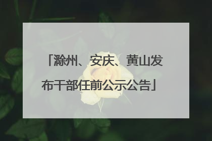 滁州、安庆、黄山发布干部任前公示公告
