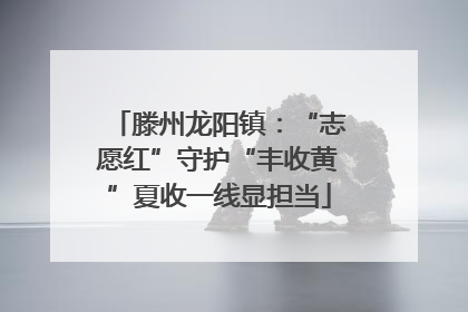 滕州龙阳镇：“志愿红”守护“丰收黄”夏收一线显担当