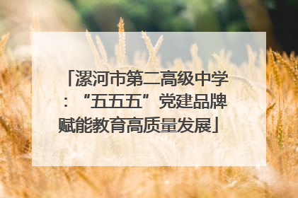 漯河市第二高级中学：“五五五”党建品牌赋能教育高质量发展