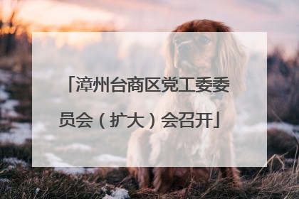 漳州台商区党工委委员会（扩大）会召开