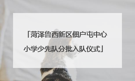 菏泽鲁西新区佃户屯中心小学少先队分批入队仪式