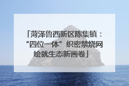 菏泽鲁西新区陈集镇：“四位一体”织密禁烧网 绘就生态新画卷