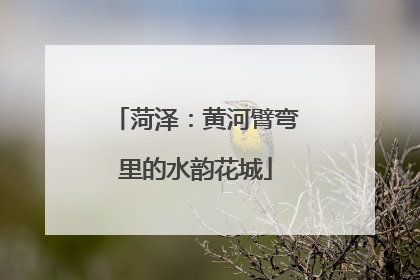 菏泽：黄河臂弯里的水韵花城