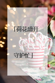 荷花盛开守护忙