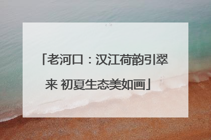 老河口：汉江荷韵引翠来 初夏生态美如画