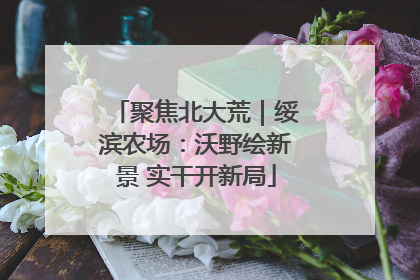 聚焦北大荒｜绥滨农场：沃野绘新景 实干开新局