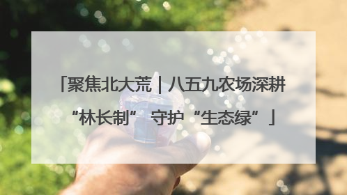 聚焦北大荒｜八五九农场深耕“林长制” 守护“生态绿”