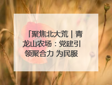 聚焦北大荒｜青龙山农场：党建引领聚合力 为民服务践初心