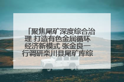聚焦尾矿深度综合治理 打造有色金属循环经济新模式 张金良一行调研栾川县尾矿库综合治理工作