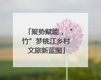 聚势赋能，“竹”梦桃江乡村文旅新蓝图