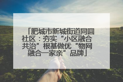 肥城市新城街道同圆社区：夯实“小区融合共治”根基做优“物网融合一家亲”品牌