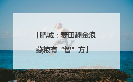 肥城：麦田翻金浪藏粮有“智”方