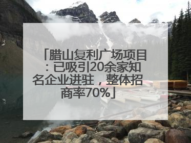 腊山复利广场项目：已吸引20余家知名企业进驻，整体招商率70%