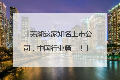 芜湖这家知名上市公司，中国行业第一！