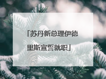 苏丹新总理伊德里斯宣誓就职