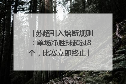苏超引入熔断规则：单场净胜球超过8个，比赛立即终止