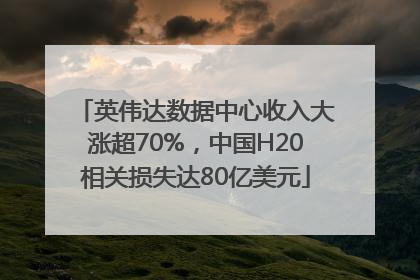 英伟达数据中心收入大涨超70%，中国H20相关损失达80亿美元
