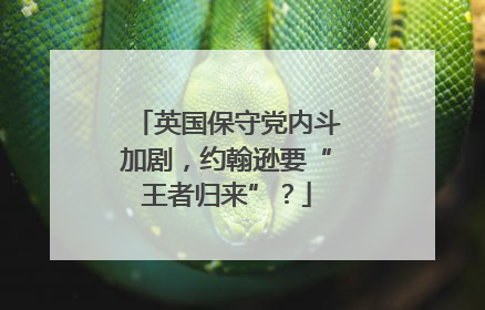 英国保守党内斗加剧，约翰逊要“王者归来”？