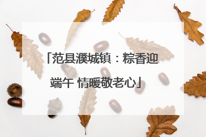 范县濮城镇:粽香迎端午 情暖敬老心