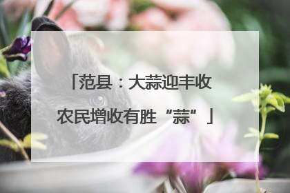 范县：大蒜迎丰收 农民增收有胜“蒜”