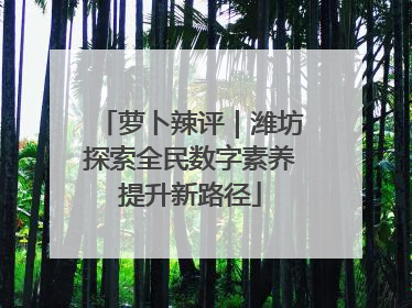 萝卜辣评｜潍坊探索全民数字素养提升新路径