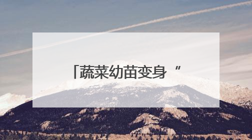 蔬菜幼苗变身“绿色教科书”！哈市各区中小学生展示种植成果