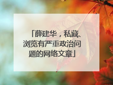 薛建华，私藏、浏览有严重政治问题的网络文章