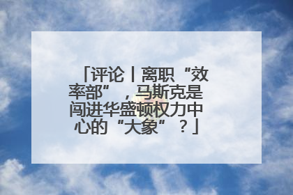 评论丨离职“效率部”，马斯克是闯进华盛顿权力中心的“大象”？