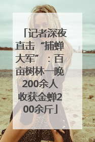 记者深夜直击“捕蝉大军”：百亩树林一晚200余人收获金蝉200余斤