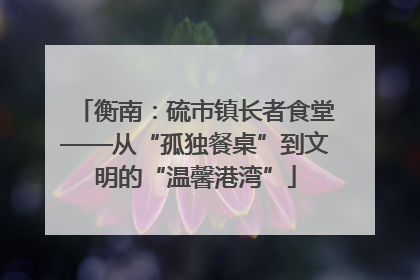 衡南：硫市镇长者食堂——从“孤独餐桌”到文明的“温馨港湾”