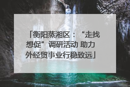 衡阳蒸湘区：“走找想促”调研活动 助力外经贸事业行稳致远