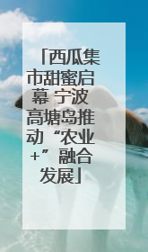 西瓜集市甜蜜启幕 宁波高塘岛推动“农业+”融合发展