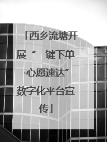 西乡流塘开展“一键下单·心愿速达”数字化平台宣传