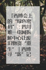 西博会上的“绿色密码”：四川唯一电网拆解中心让废旧物资“重生”｜西博寻“新”记