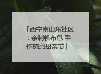 西宁南山东社区：亲制帆布包 手作感恩母亲节