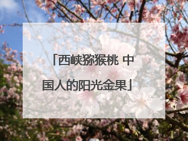 西峡猕猴桃 中国人的阳光金果
