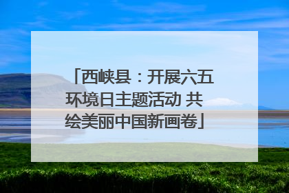 西峡县：开展六五环境日主题活动 共绘美丽中国新画卷