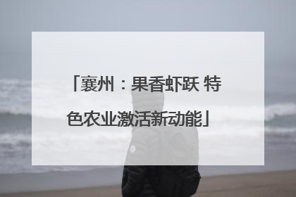 襄州：果香虾跃 特色农业激活新动能