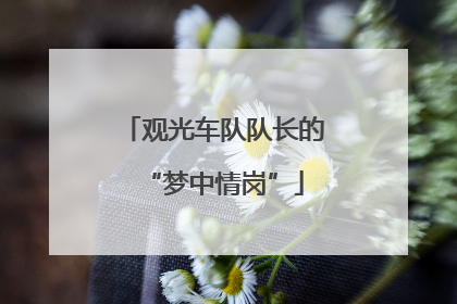 观光车队队长的“梦中情岗”