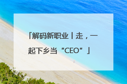 解码新职业丨走，一起下乡当“CEO”