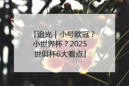 追光｜小号欧冠？小世界杯？2025世俱杯6大看点