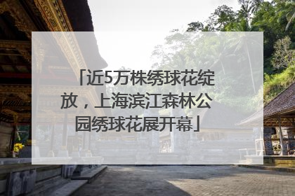 近5万株绣球花绽放，上海滨江森林公园绣球花展开幕