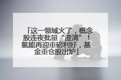 这一领域火了，概念股连夜批量“澄清”！氢能再迎重磅利好，基金重仓股出炉