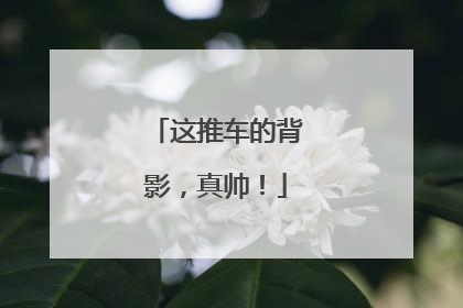 这推车的背影，真帅！