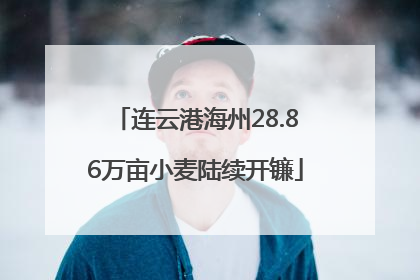 连云港海州28.86万亩小麦陆续开镰
