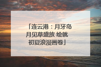 连云港：月牙岛月见草盛放 绘就初夏浪漫画卷