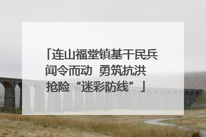 连山福堂镇基干民兵闻令而动  勇筑抗洪抢险“迷彩防线”