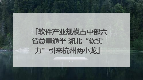 软件产业规模占中部六省总量逾半 湖北“软实力”引来杭州两小龙